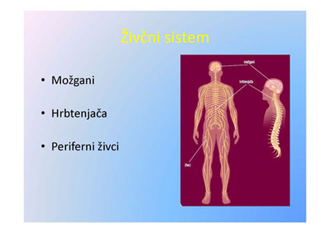 moje bolece noge Page 04