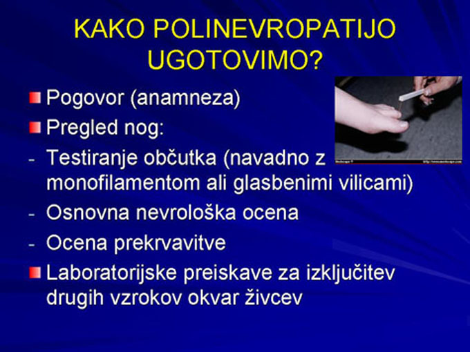 Diapozitiv11