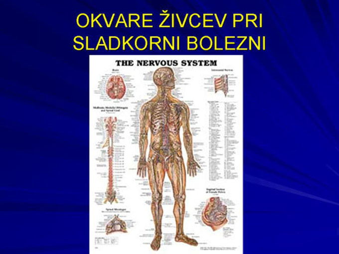 Diapozitiv3