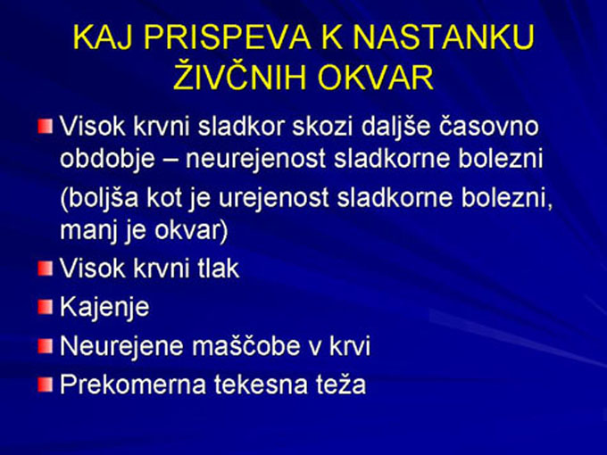 Diapozitiv6